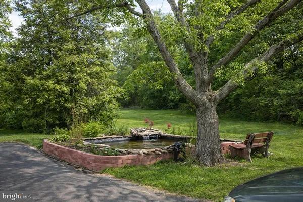 a view of a garden with plants and a lake view