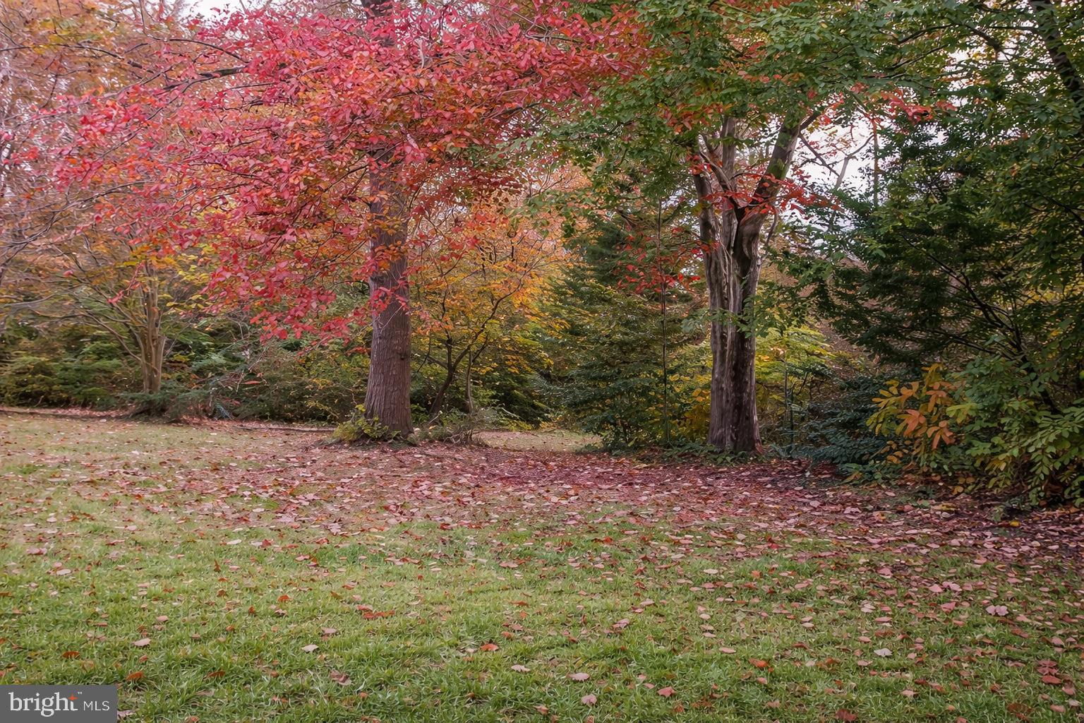 123 Philadelphia Road Joppa, MD 21085 - Photo 37 of 46