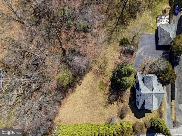 a view of a yard with plants