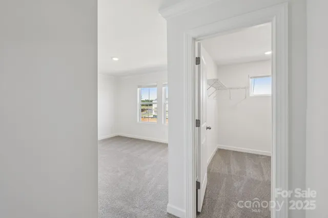 a bathroom with a shower sink vanity and mirror