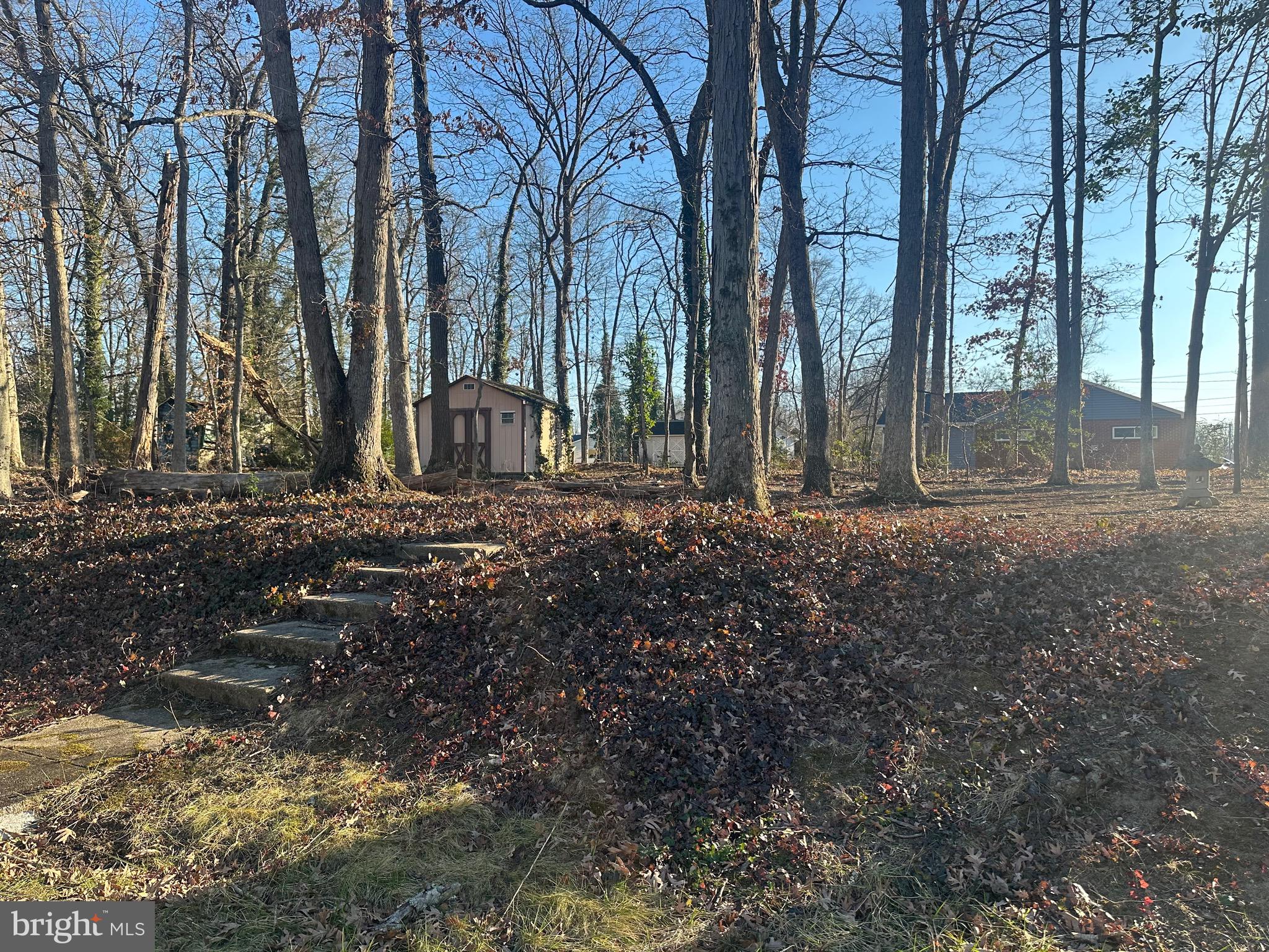 1401 Madison Drive Fort Washington, MD 20744 - Photo 30 of 30 a view of a backyard with trees