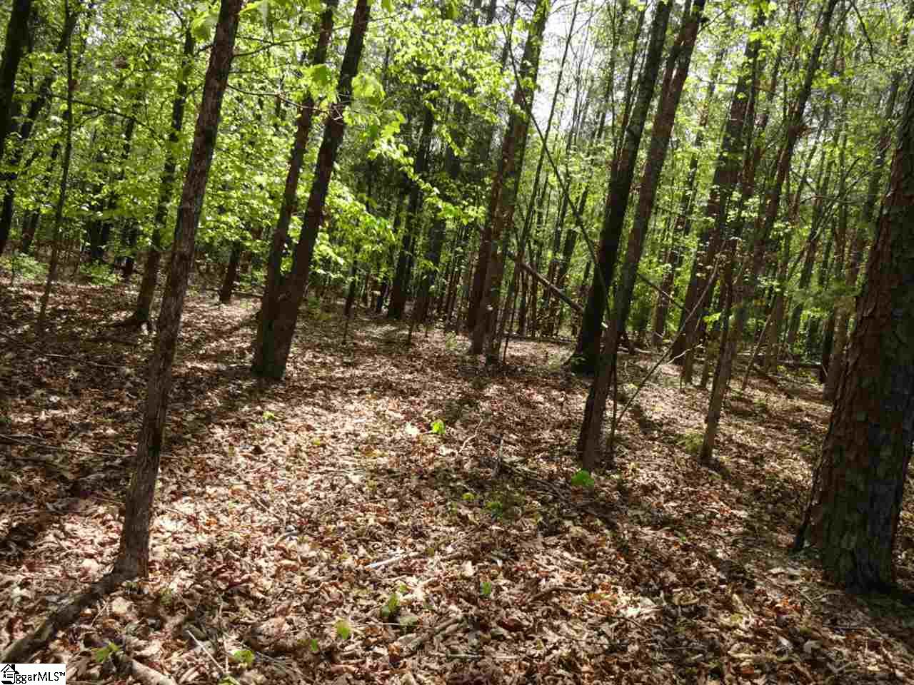 2226 Sawmill Road Gray Court, SC 29645 - Photo 14 of 33 Gallery Image 14