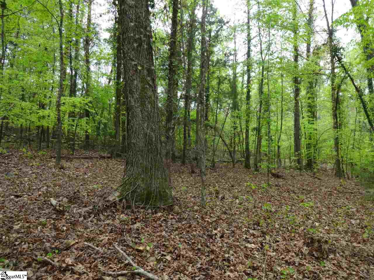 2226 Sawmill Road Gray Court, SC 29645 - Photo 3 of 33 Gallery Image 3