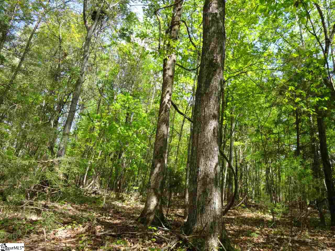 2226 Sawmill Road Gray Court, SC 29645 - Photo 22 of 33 Gallery Image 22