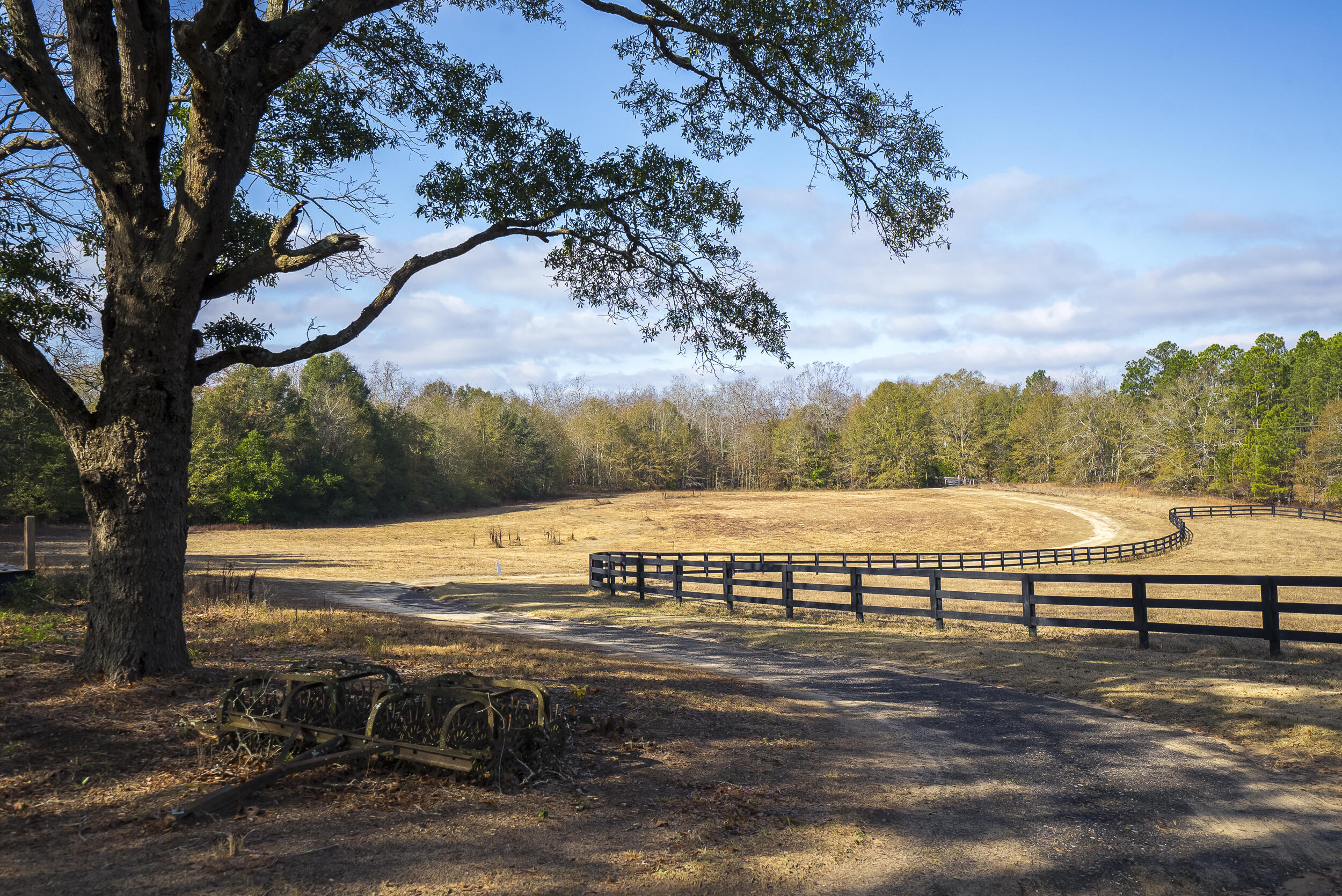 2300 Salley Road Salley, SC 29137 - Photo 3 of 89