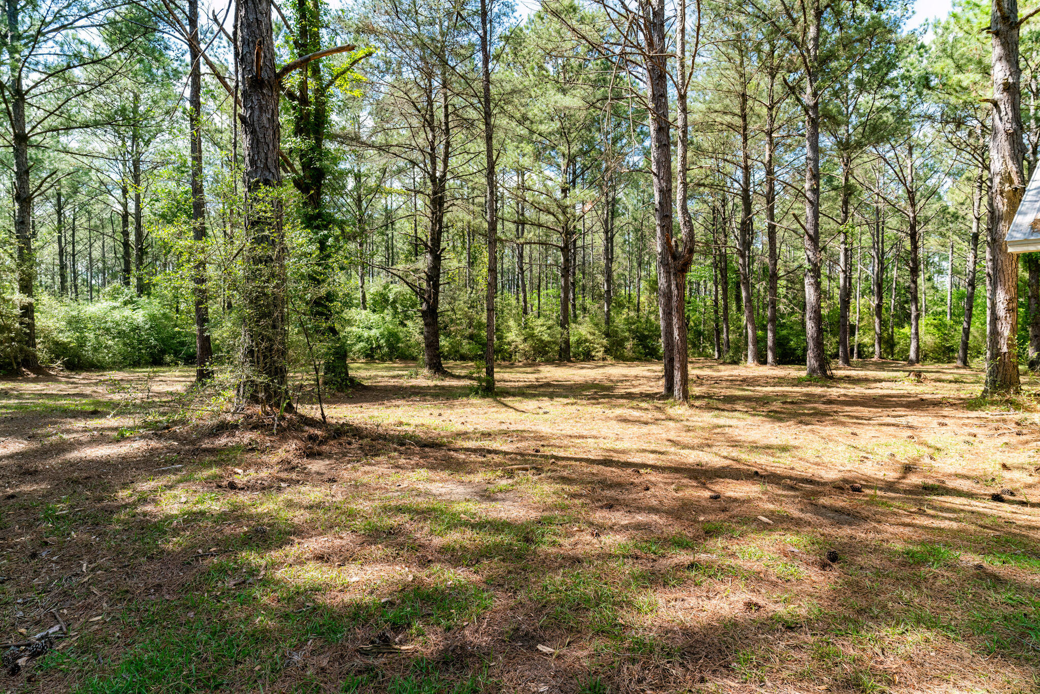 4353 Poverty Creek Road Crestview, FL 32539 - Photo 35 of 43 a view of outdoor space with trees