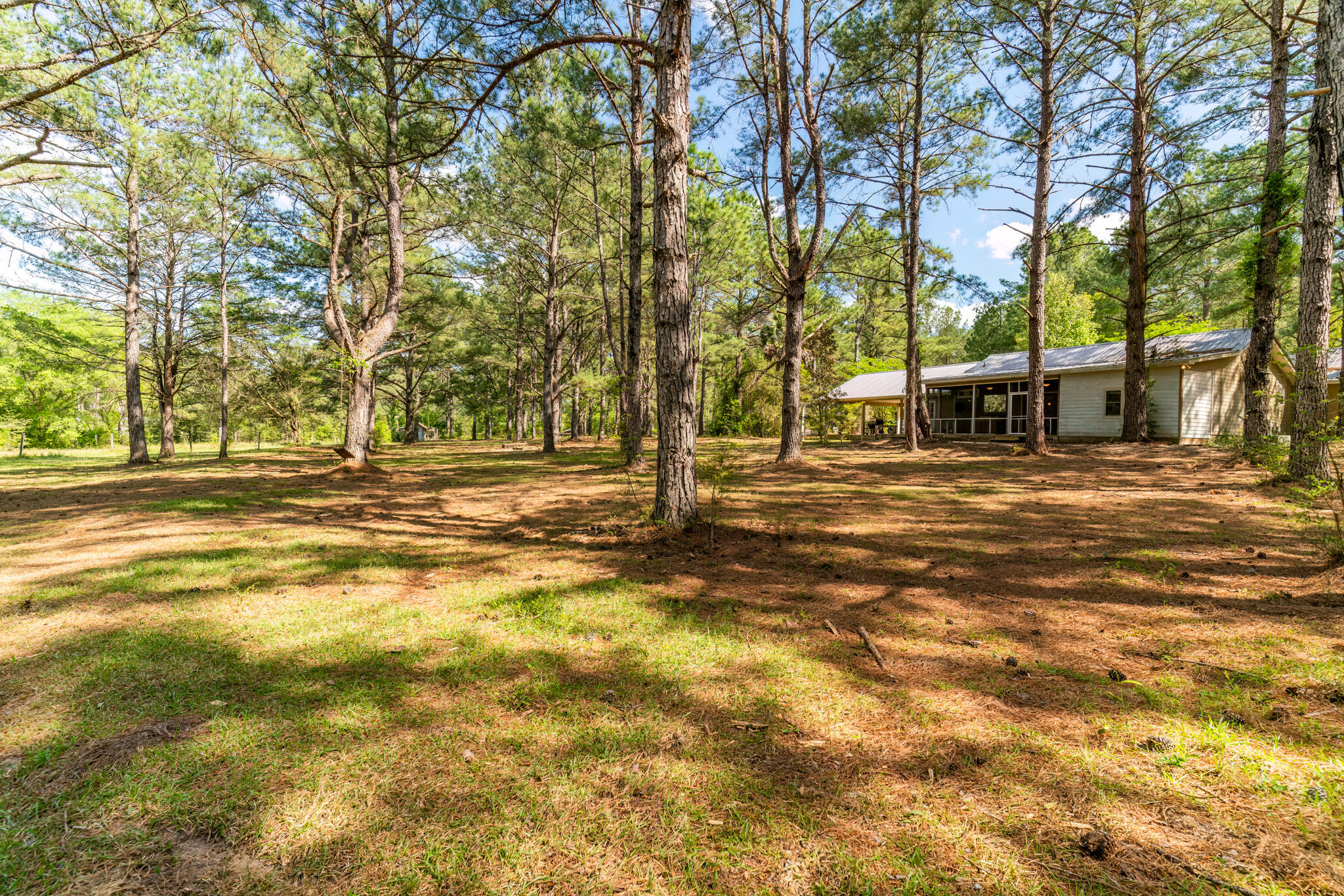 4353 Poverty Creek Road Crestview, FL 32539 - Photo 6 of 43 4353 Poverty Creek