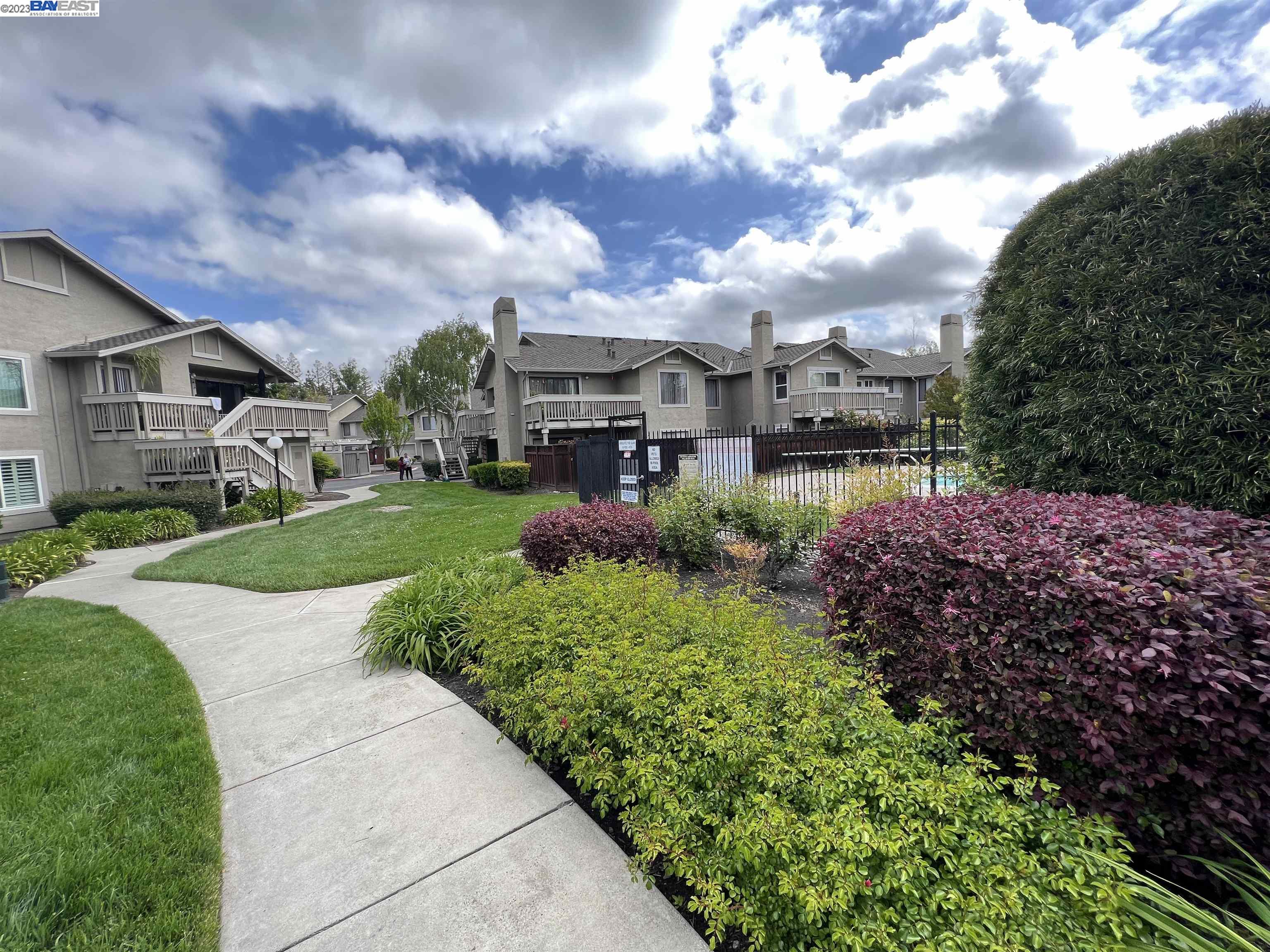 a view of a garden with a large tree