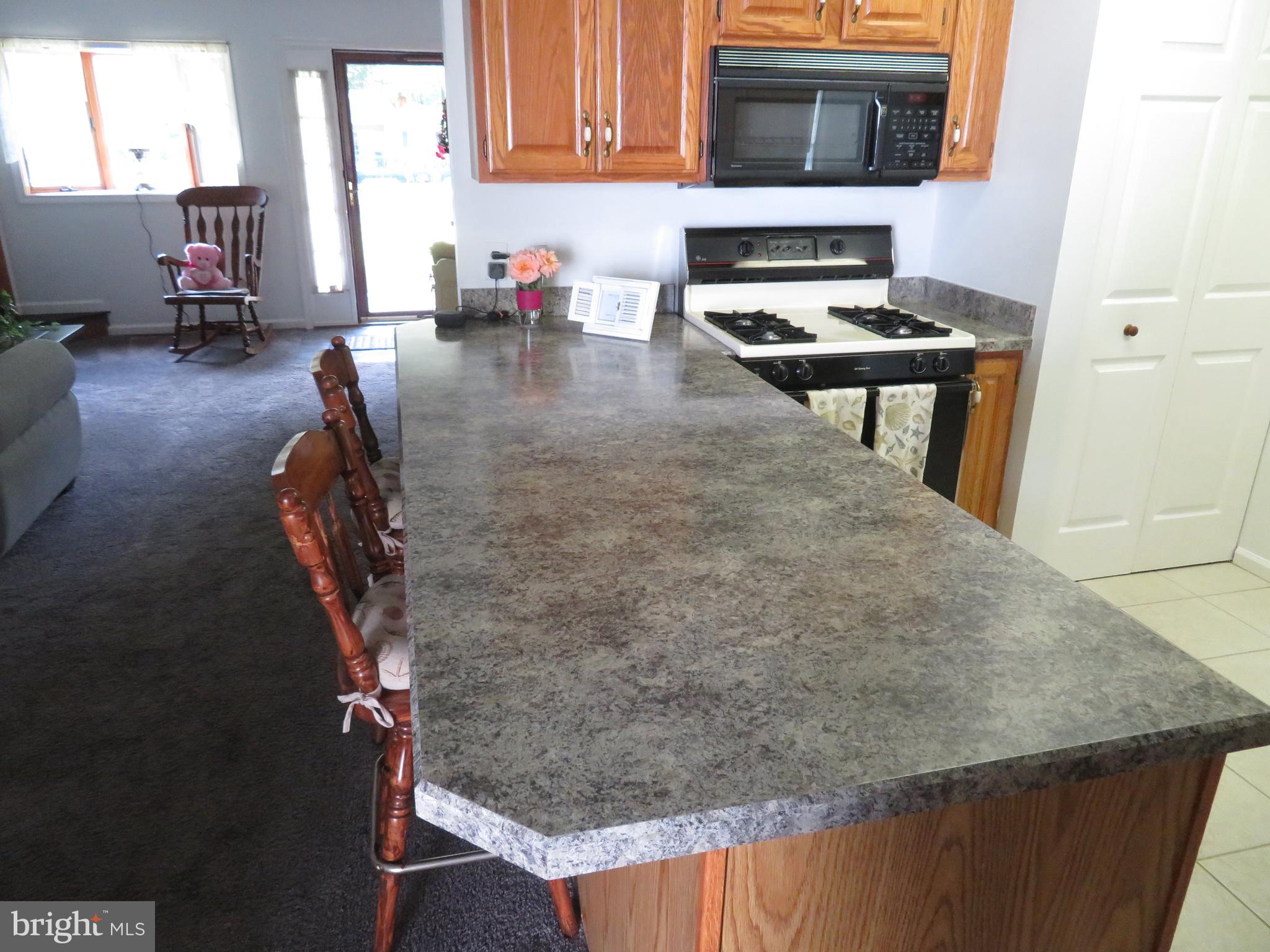 39 Rabbit Run Lane Ocean Pines, MD 21811 - Photo 56 of 63