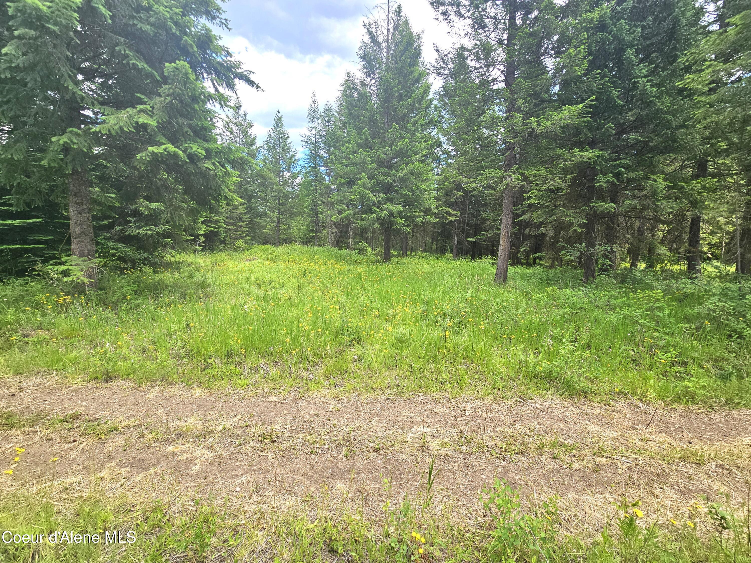 7248 Honeysuckle Road Athol, ID 83801 - Photo 7 of 16 7