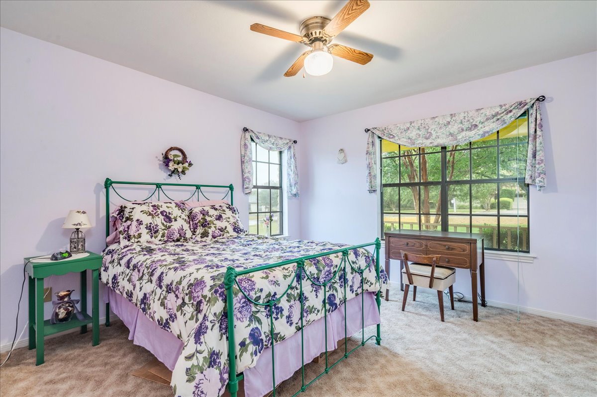 1704 Buttercup Road Pflugerville, TX 78660 - Photo 26 of 37 An inviting bedroom features plush carpeting and a large window overlooking lush greenery.