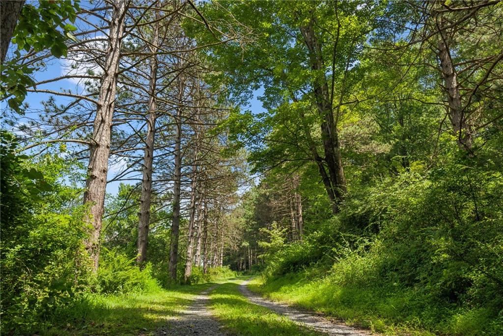 409 Valencia Road Mars, PA 16046 - Photo 5 of 28