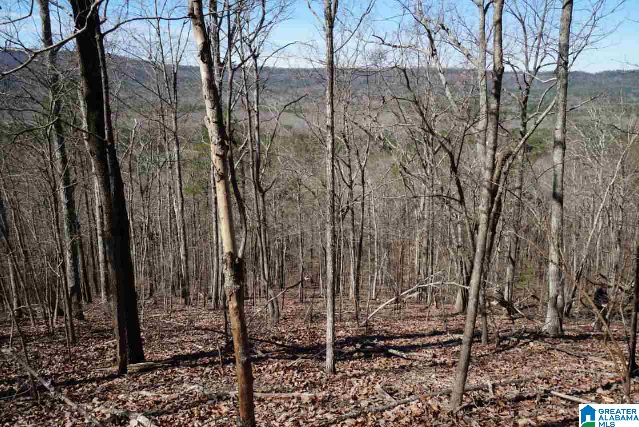 Mystic Valley View, Unit 1 Sterrett, AL 35147 - Photo 5 of 33