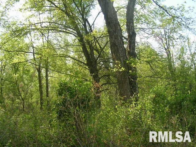 0 Parker City Road New Burnside, IL 62967 - Photo 4 of 5 Gallery Image 4