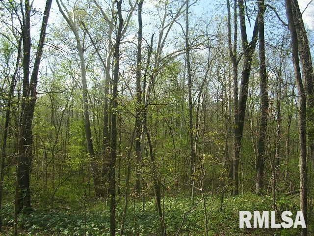 0 Parker City Road New Burnside, IL 62967 - Photo 5 of 5 Gallery Image 5