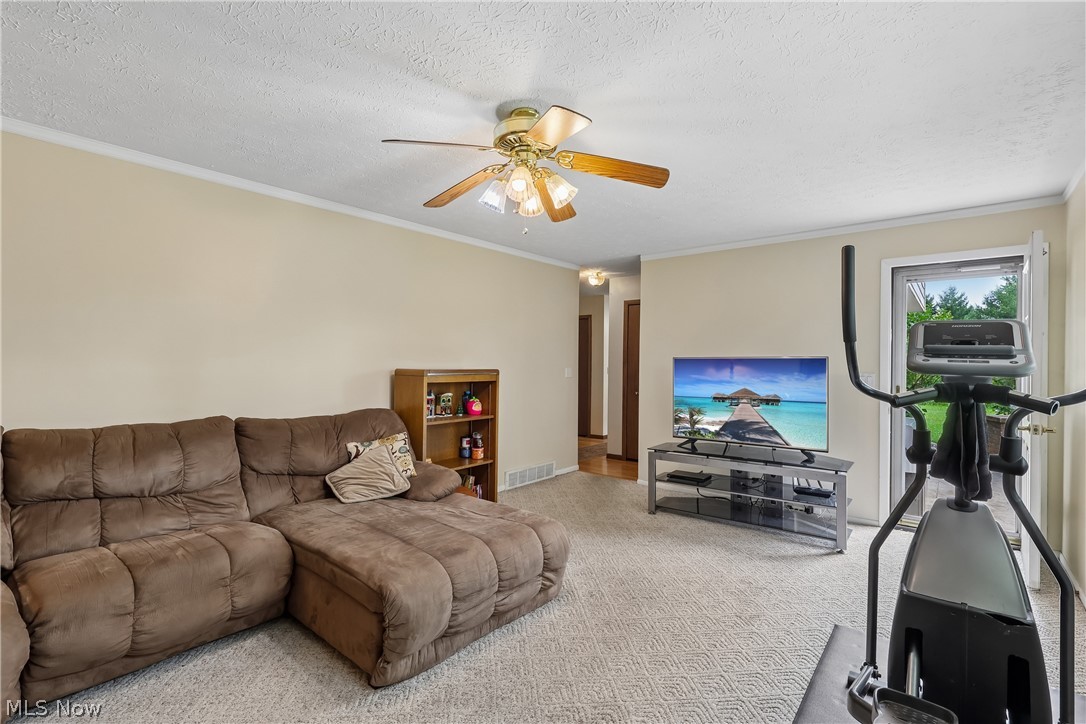 4702 Alger Road Richfield, OH 44286 - Photo 22 of 46 Family room showing back door entry with ceiling fan / light and carpet flooring