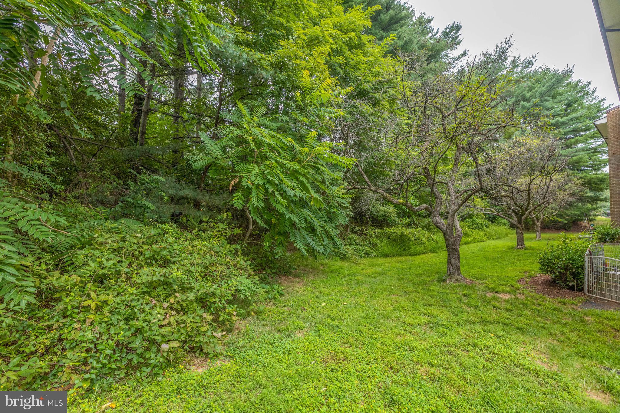 1404 Northgate Square, Unit 21C Reston, VA 20190 - Photo 32 of 32 Back of Condo