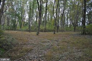 18707 Frederick Road Parkton, MD 21120 - Photo 6 of 8 a view of a forest with trees in the background