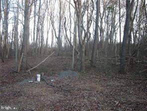 18707 Frederick Road Parkton, MD 21120 - Photo 8 of 8 a view of a yard with large trees