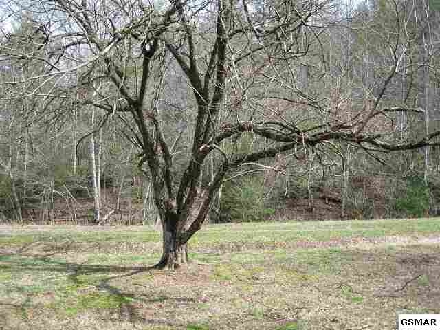 26 Clear Fork Road Sevierville, TN 37862 - Photo 1 of 1 Gallery Image 1