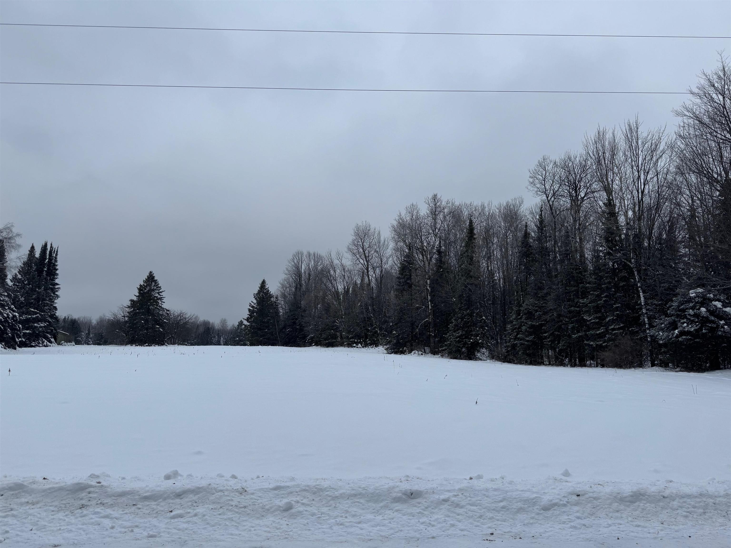 8.76-acres On Fadness Road Winter, WI 54896 - Photo 1 of 9 Yard covered in snow with a view of trees