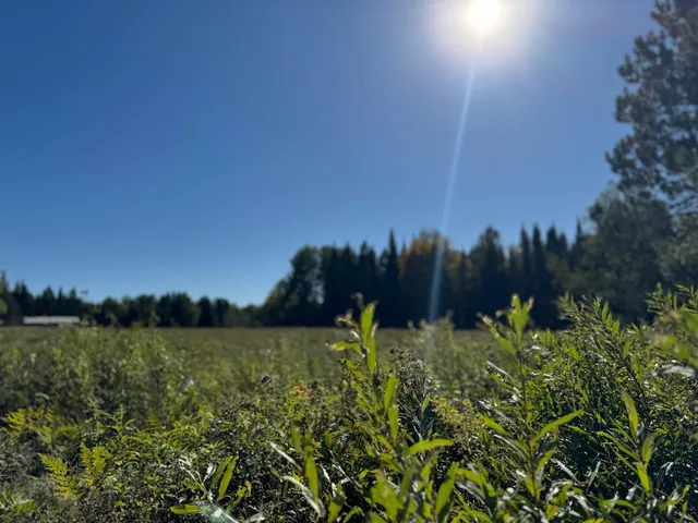 $36,500 | 8.31-acres On Fadness Road, Winter, WI 54896