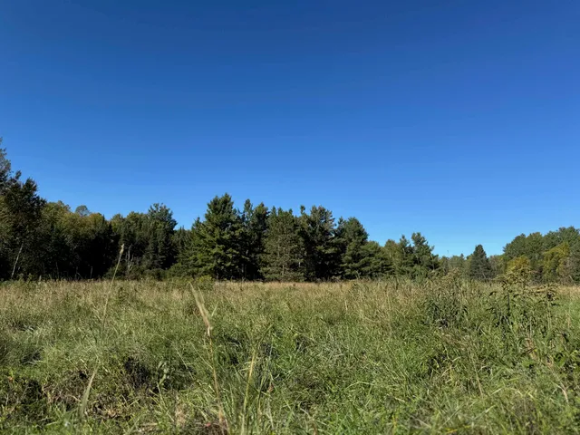 $36,500 | 8.31-acres On Fadness Road, Winter, WI 54896