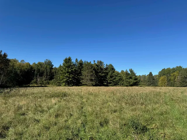$36,500 | 8.31-acres On Fadness Road, Winter, WI 54896