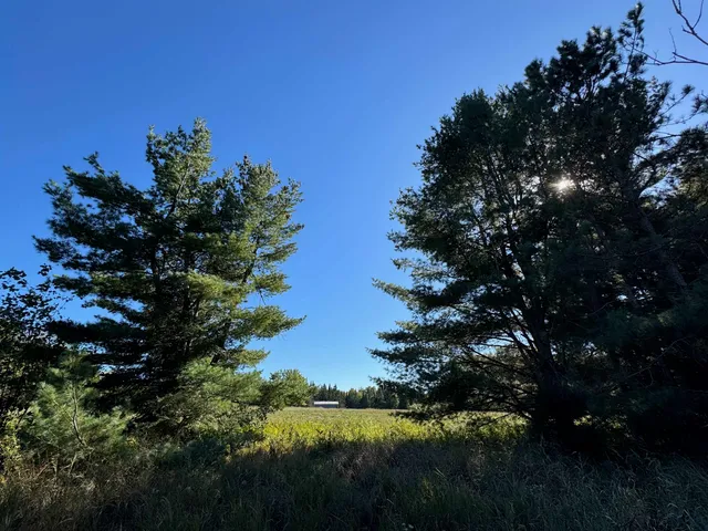 $36,500 | 8.31-acres On Fadness Road, Winter, WI 54896
