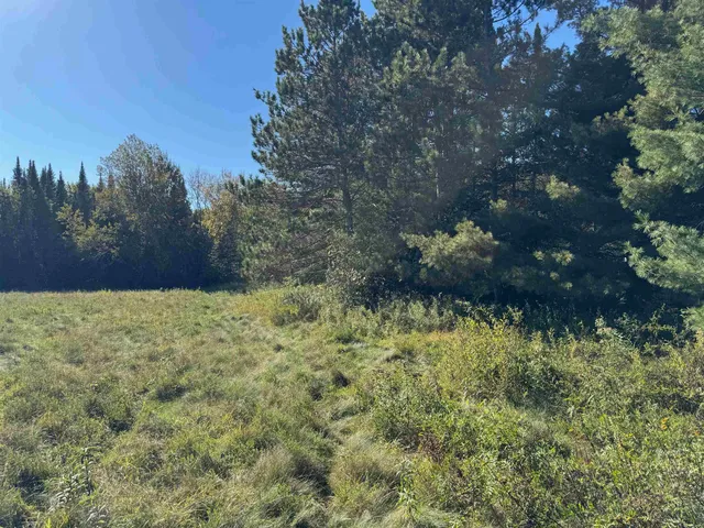 $36,500 | 8.31-acres On Fadness Road, Winter, WI 54896