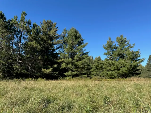 $36,500 | 8.31-acres On Fadness Road, Winter, WI 54896