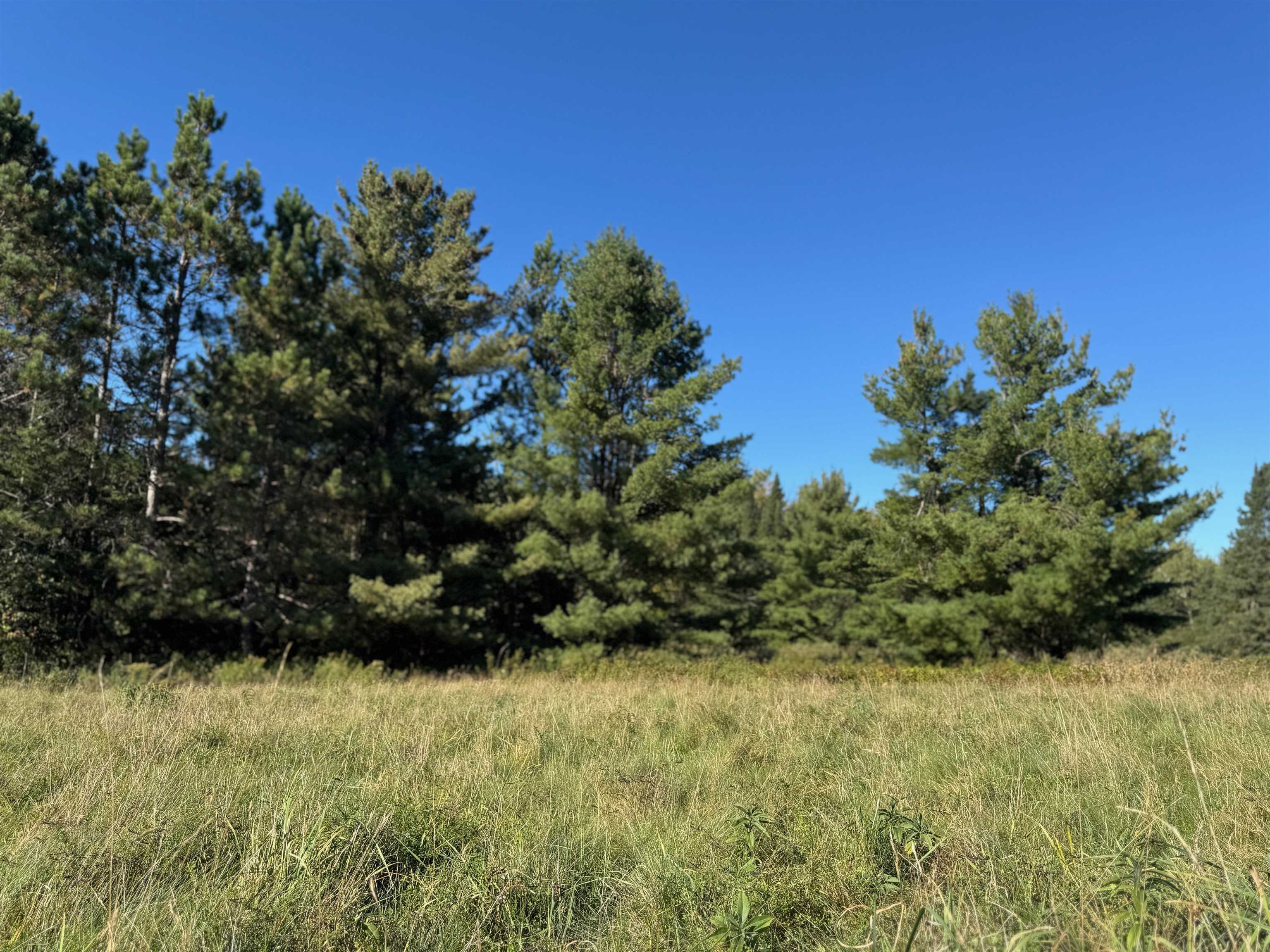 8.31-acres On Fadness Road Winter, WI 54896 - Photo 17 of 27 View of local wilderness