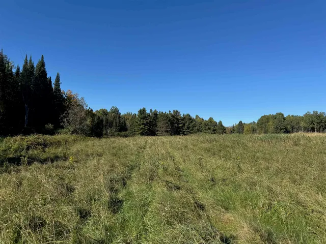 $36,500 | 8.31-acres On Fadness Road, Winter, WI 54896
