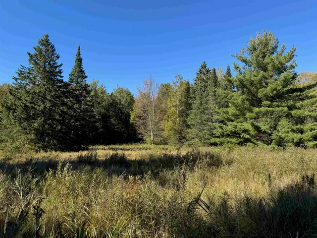 $36,500 | 8.31-acres On Fadness Road, Winter, WI 54896