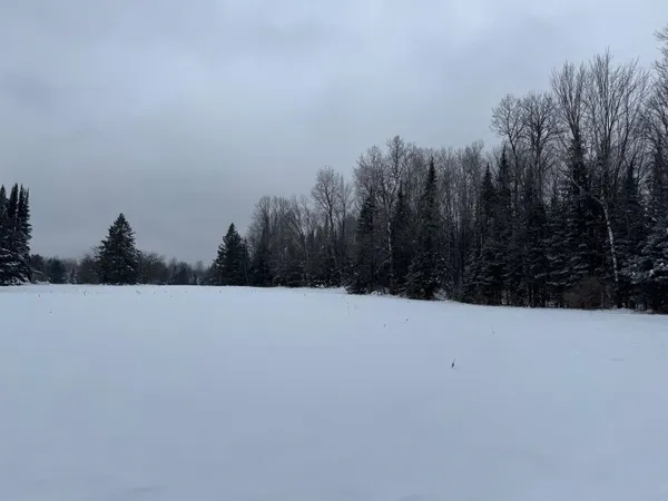 $35,000 | 8.76-acres On Fadness Road, Winter, WI 54896