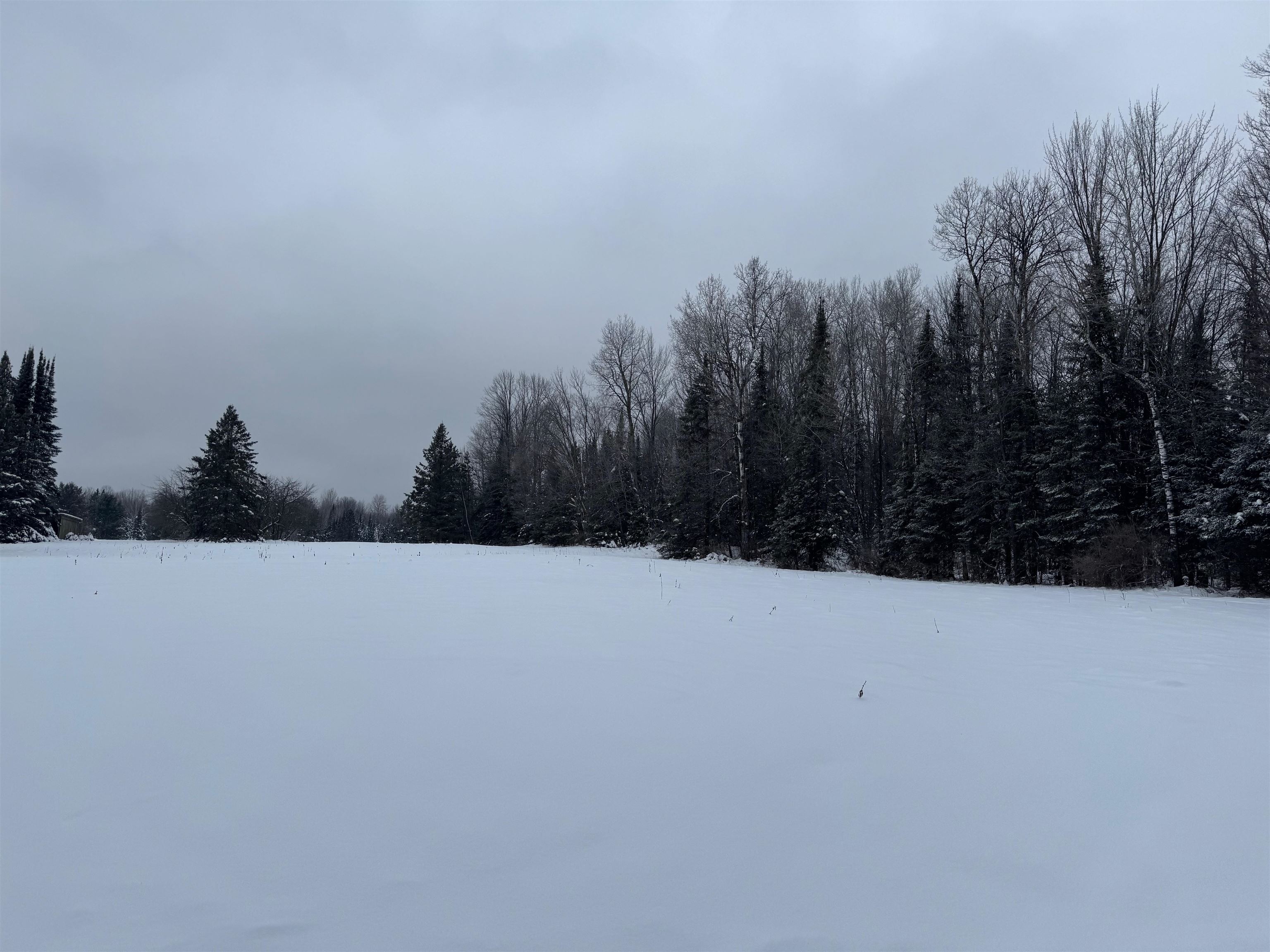 8.76-acres On Fadness Road Winter, WI 54896 - Photo 2 of 9 Yard layered in snow featuring a wooded view