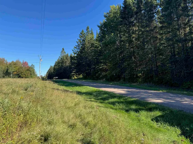 $36,500 | 8.31-acres On Fadness Road, Winter, WI 54896