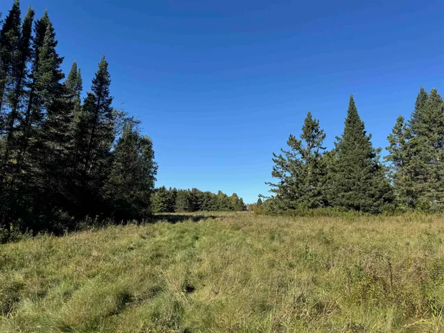 $36,500 | 8.31-acres On Fadness Road, Winter, WI 54896