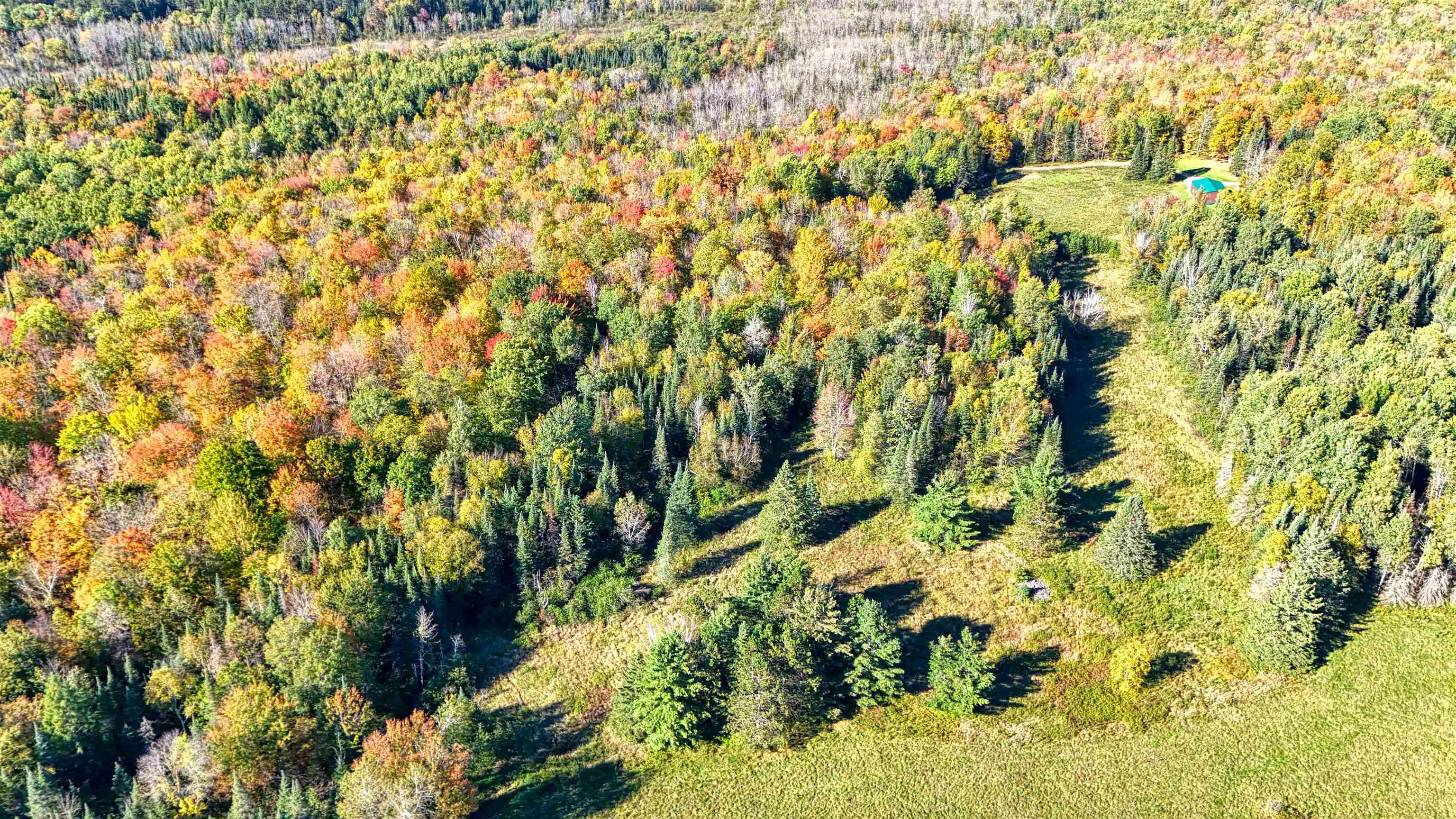 8.31-acres On Fadness Road Winter, WI 54896 - Photo 26 of 27 Bird's eye view of a forest