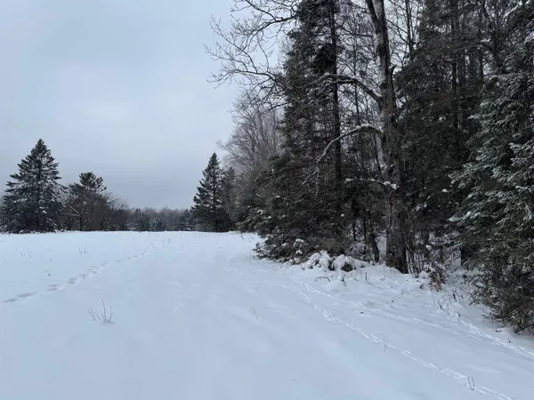 $35,000 | 8.76-acres On Fadness Road, Winter, WI 54896