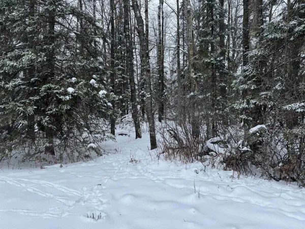 $35,000 | 8.76-acres On Fadness Road, Winter, WI 54896