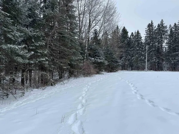 $35,000 | 8.76-acres On Fadness Road, Winter, WI 54896