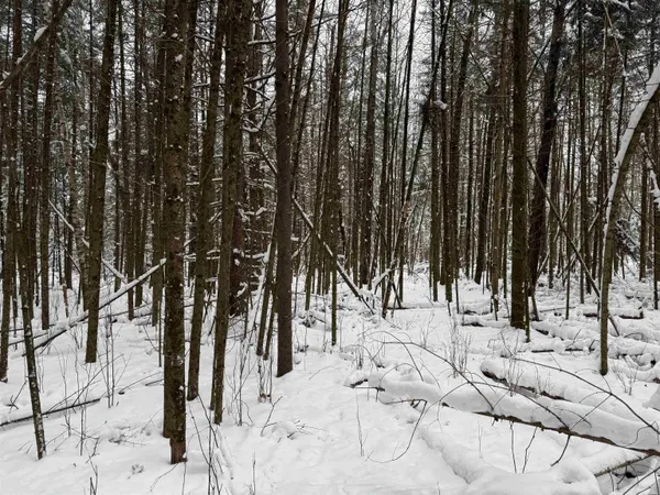 $35,000 | 8.76-acres On Fadness Road, Winter, WI 54896