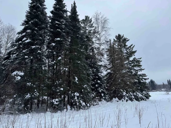 $35,000 | 8.76-acres On Fadness Road, Winter, WI 54896