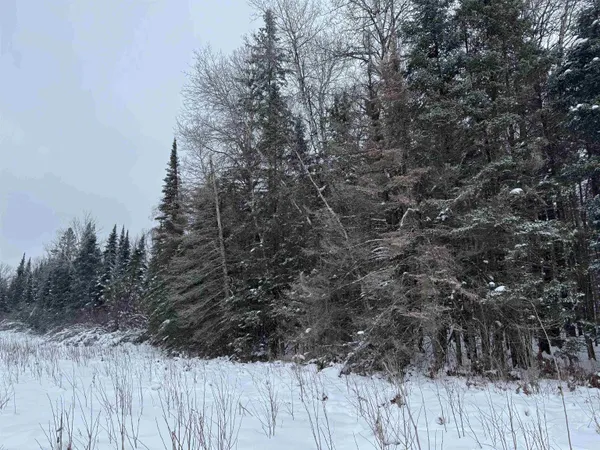 $35,000 | 8.76-acres On Fadness Road, Winter, WI 54896