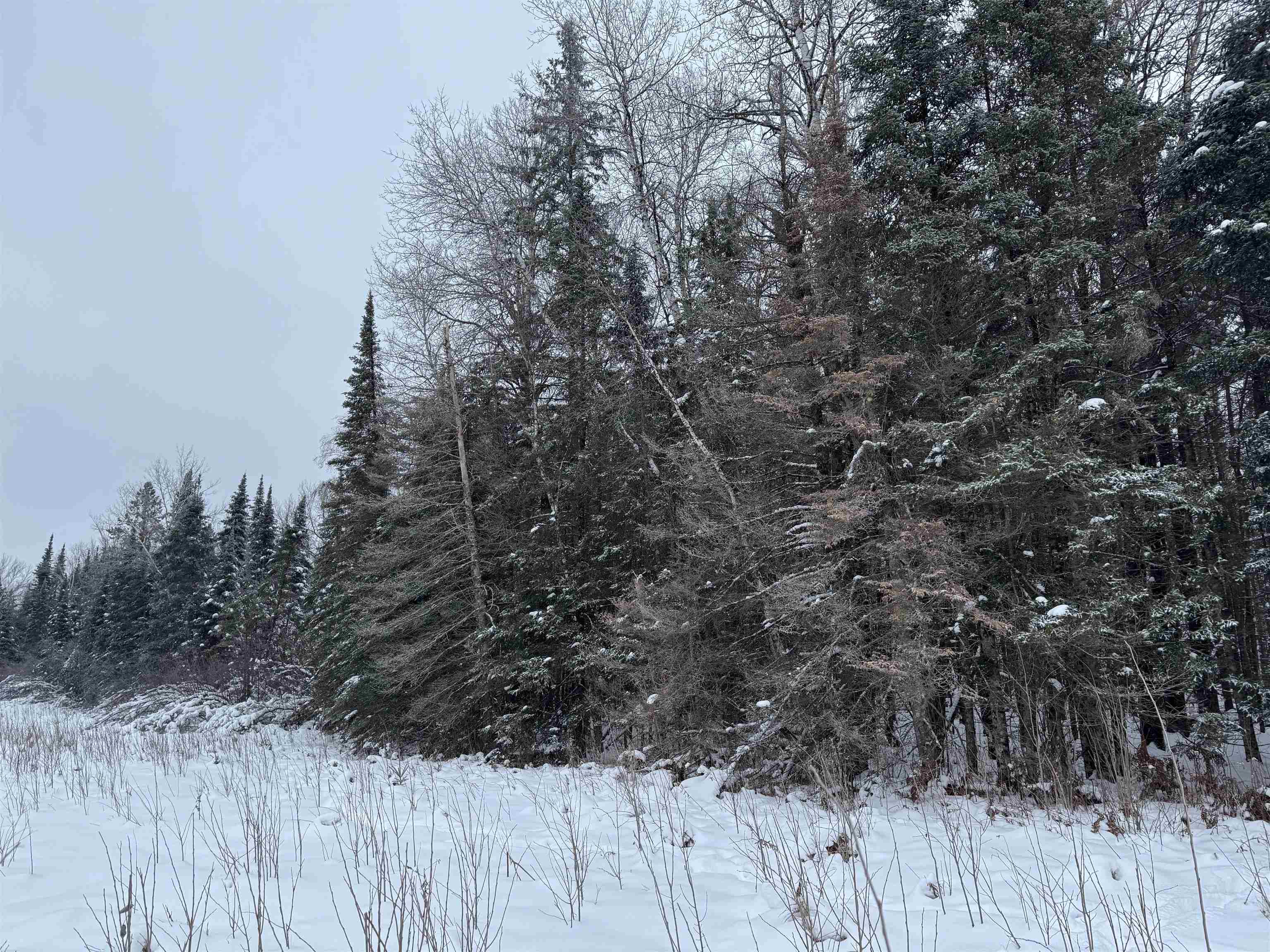 8.76-acres On Fadness Road Winter, WI 54896 - Photo 9 of 9 Snowy landscape featuring a wooded view