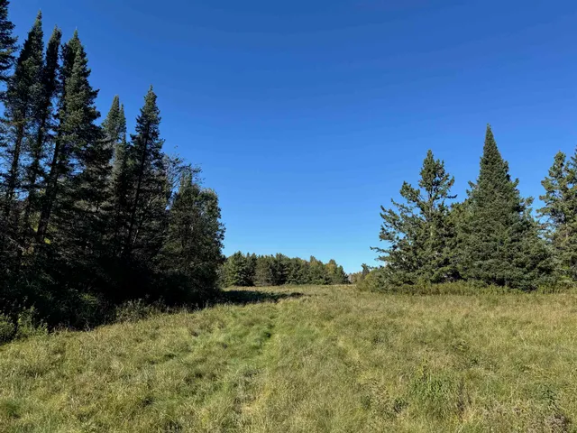 $36,500 | 8.31-acres On Fadness Road, Winter, WI 54896