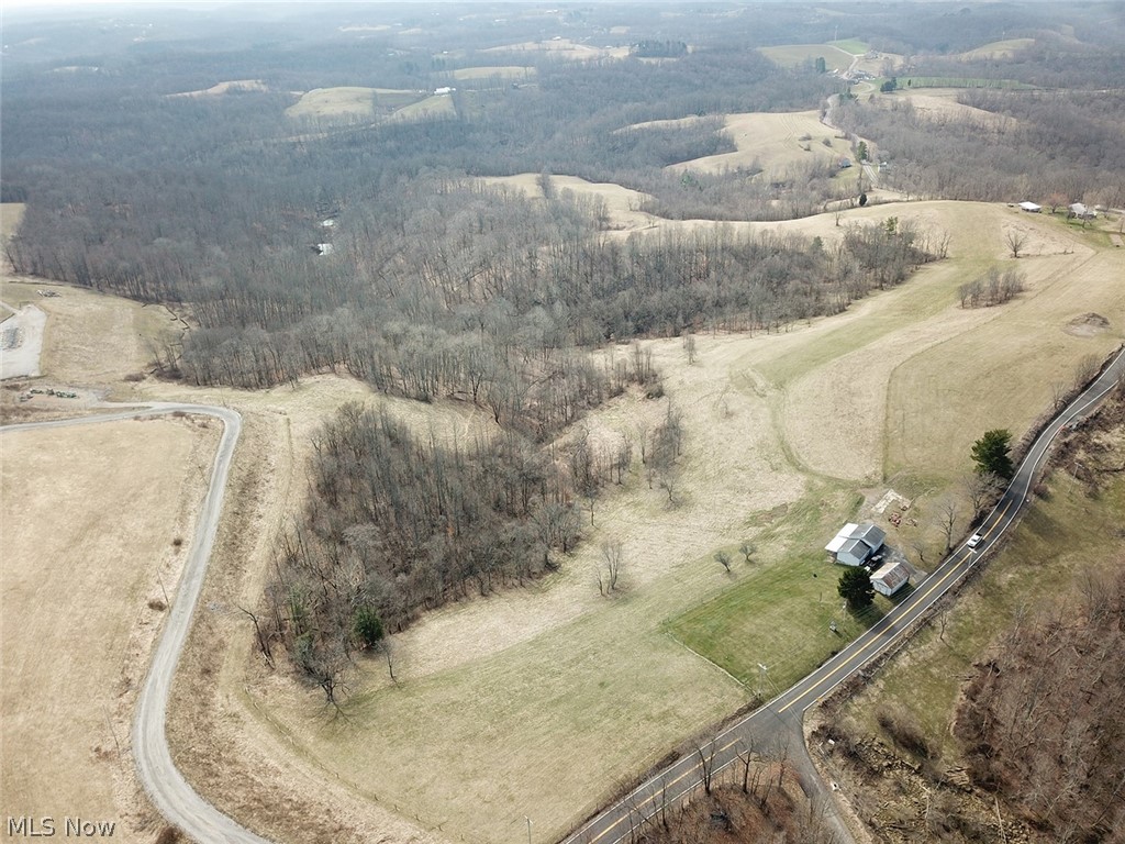 54675 Pugh Ridge Road Alledonia, OH 43902 - Photo 7 of 19