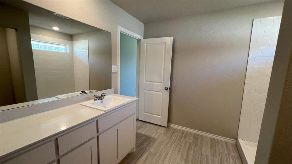 829 Round Robin Lane Rhome, TX 76078 - Photo 9 of 27 a bathroom with a sink and a mirror