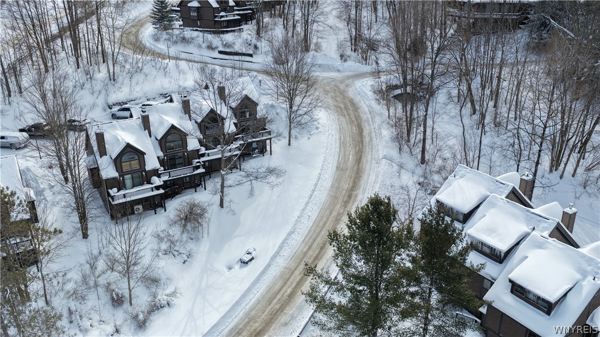 46 Sunset Road, Unit 46 Ellicottville, NY 14731 - Photo 49 of 50